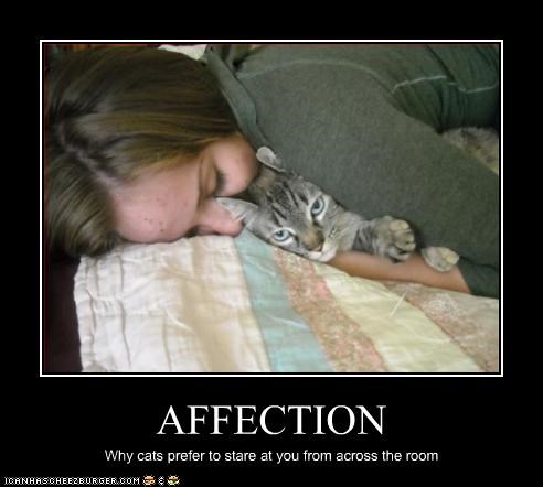 AFFECTION