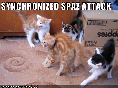 SYNCHRONIZED SPAZ ATTACK