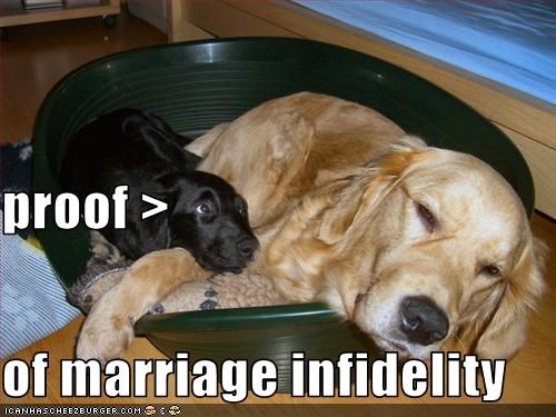 proof > of marriage infidelity