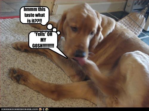 hmmm this taste what is it??!!