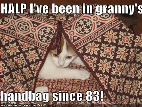 HALP I've been in granny's  handbag since 83!