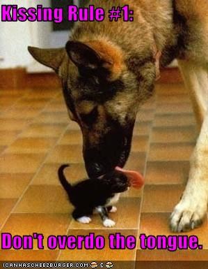 Kissing Rule #1:  Don't overdo the tongue.