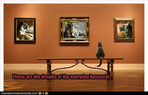 These are the dreams of the everyday housecat...
