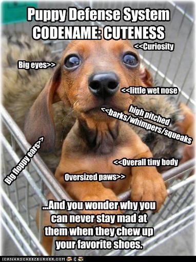 Puppy Defense System CODENAME: CUTENESS