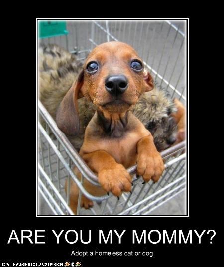 ARE YOU MY MOMMY?