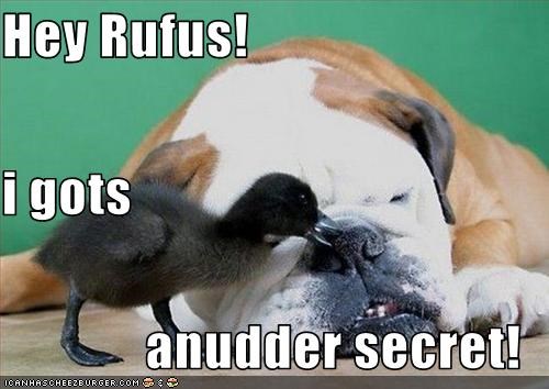 Hey Rufus! i gots anudder secret!