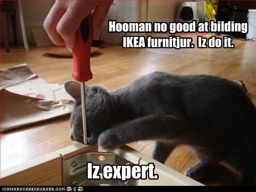 Hooman no good at bilding IKEA furnitjur.  Iz do it.