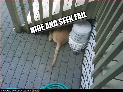 HIDE AND SEEK FAIL
