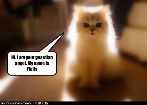 Hi. I am your guardian angel. My name is
Fluffy