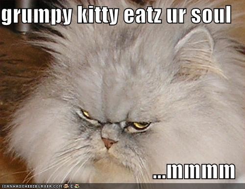 grumpy kitty eatz ur soul  ...mmmm