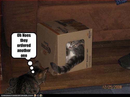 Oh Noes they ordered another one