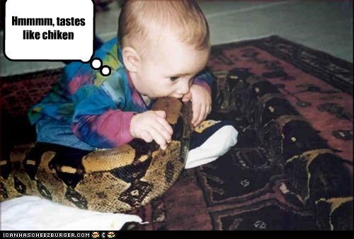Hmmmm, tastes like chiken