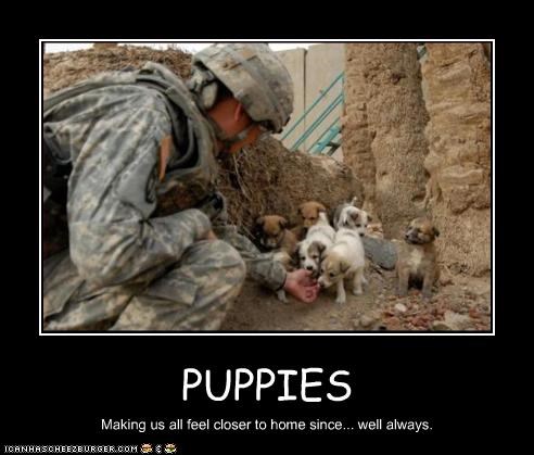 PUPPIES