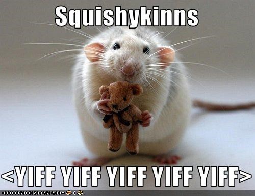 Squishykinns   <YIFF YIFF YIFF YIFF YIFF>
