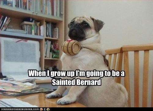 When I grow up I'm going to be a Sainted Bernard