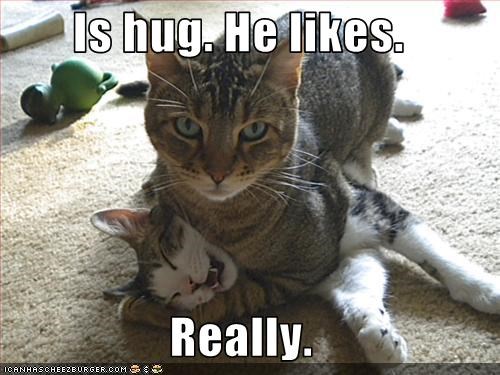 Is hug. He likes.  Really.