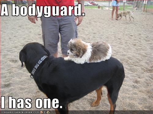 A bodyguard.  I has one.