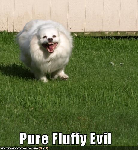 Pure Fluffy Evil