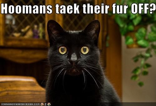 Hoomans taek their fur OFF?