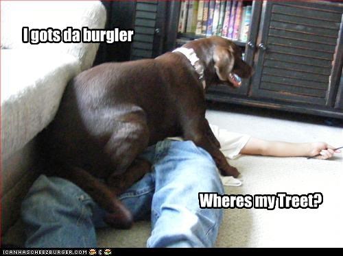 I gots da burgler