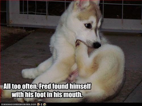 All too often, Fred found himself with his foot in his mouth.