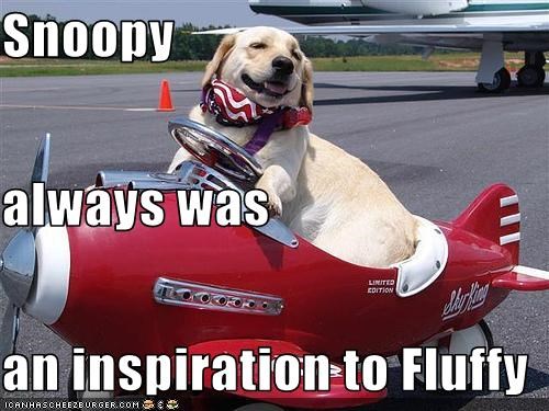 Snoopy always was an inspiration to Fluffy