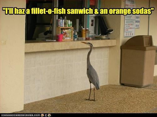 "I'll haz a fillet-o-fish sanwich & an orange sodas"