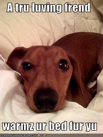 A tru luving frend   warmz ur bed fur yu