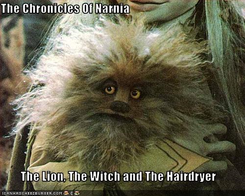 The Chronicles Of Narnia  The Lion, The Witch and The Hairdryer