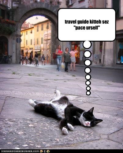 travel guide kitteh sez "pace urself"