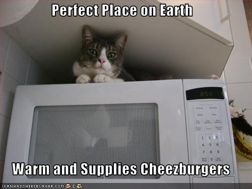 Perfect Place on Earth  Warm and Supplies Cheezburgers