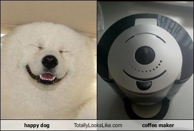 happy dog Totally Looks Like coffee maker