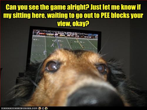 Can you see the game alright? Just let me know if my sitting here, waiting to go out to PEE blocks your view, okay?