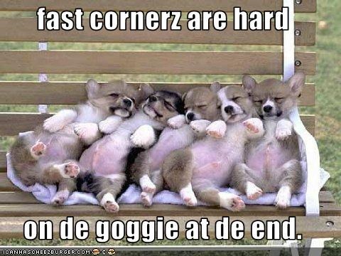 fast cornerz are hard  on de goggie at de end.
