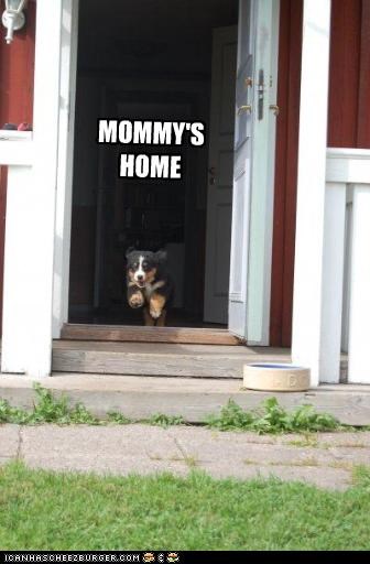 MOMMY'S
HOME