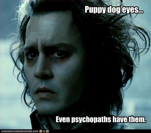 Puppy dog eyes...