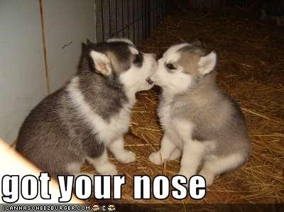 got your nose
