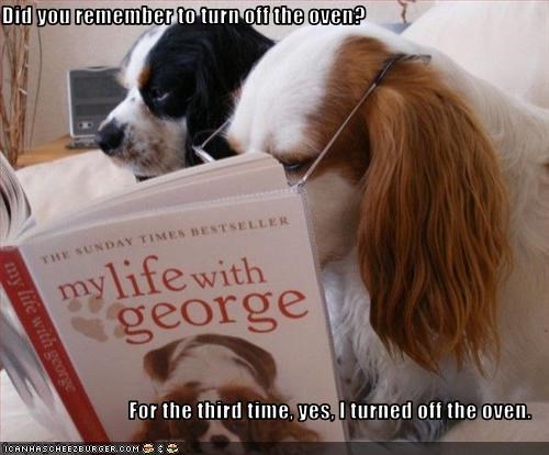 Did you remember to turn off the oven?  For the third time, yes, I turned off the oven.