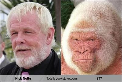 Nick Nolte Totally Looks Like ???