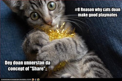 #8 Reason why cats doan make good playmates