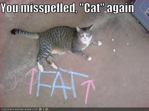 You misspelled, "Cat" again
