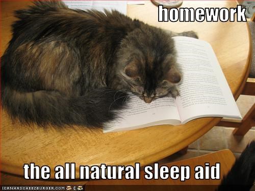 homework  the all natural sleep aid