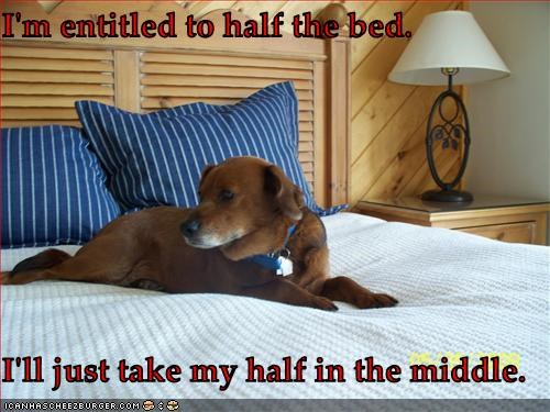 I'm entitled to half the bed.  I'll just take my half in the middle.
