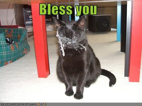 Bless you