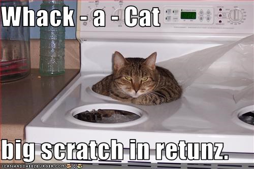 Whack - a - Cat  big scratch in retunz.