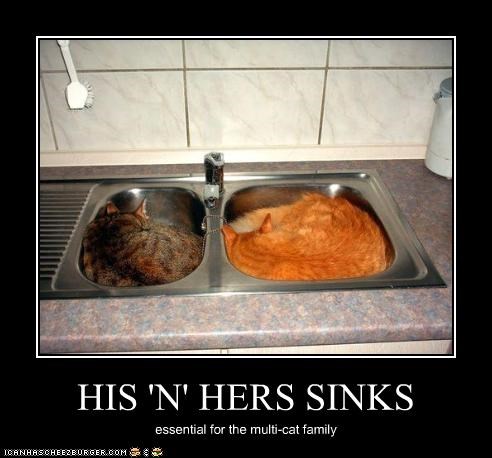 HIS 'N' HERS SINKS