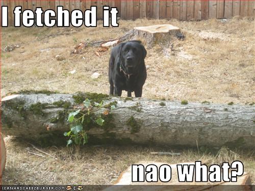 I fetched it  nao what?