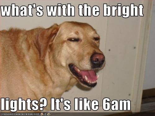 what's with the bright   lights? It's like 6am