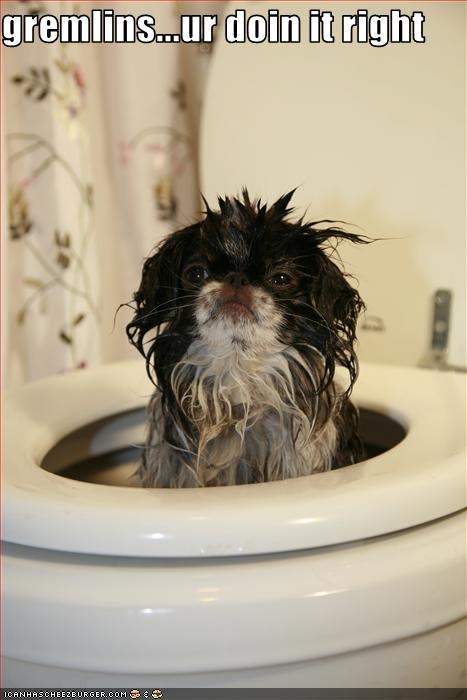 gremlins...ur doin it right