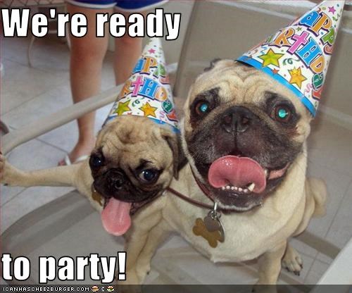 We're ready   to party!
